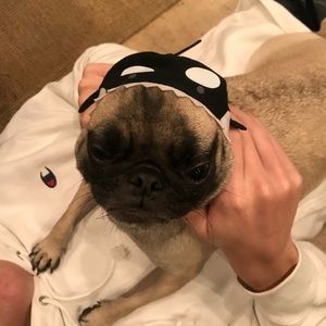 Meet your Posher, Sherry